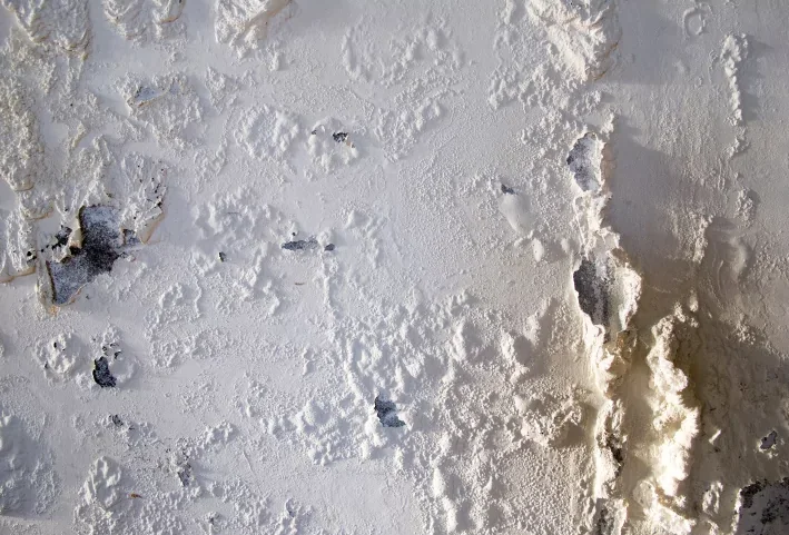 Bubbling paint and swollen plaster on a water-damaged wall