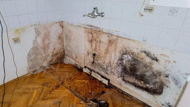 Mold on a kitchen wall above water-damaged parquet flooring